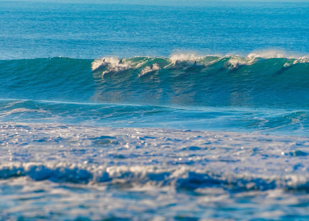 ballito battles occupiers